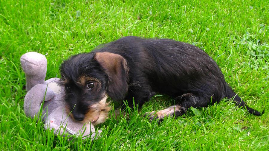 It was fun - Greeting Franzi